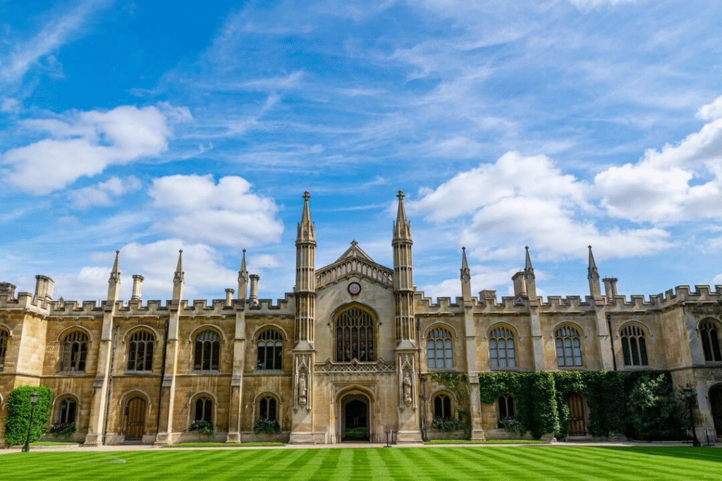 Best University Courses for High Salary in 2025